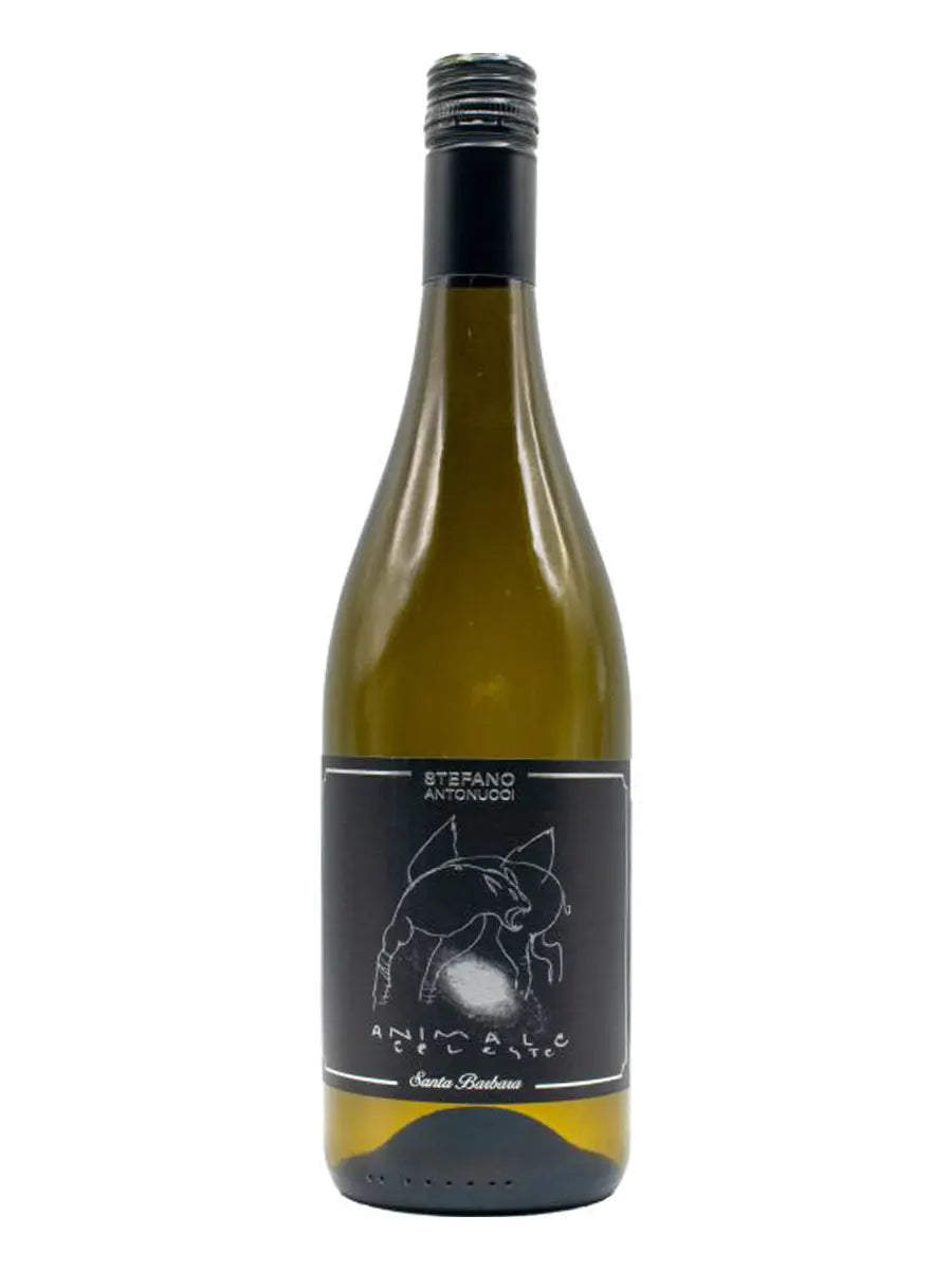 Santa Barbara Animale Celeste Sauvignon